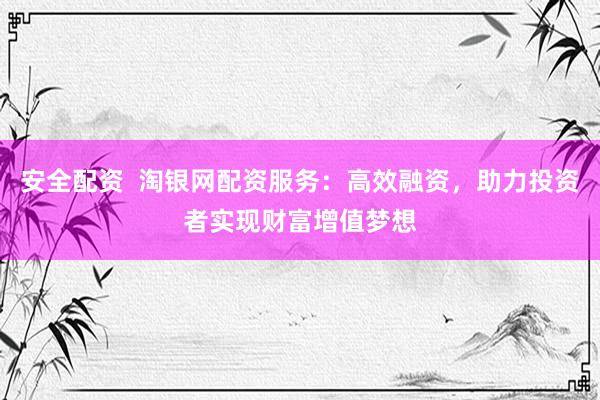 安全配资  淘银网配资服务：高效融资，助力投资者实现财富增值梦想