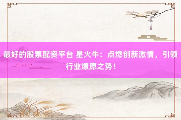 最好的股票配资平台 星火牛：点燃创新激情，引领行业燎原之势！