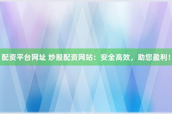 配资平台网址 炒股配资网站：安全高效，助您盈利！