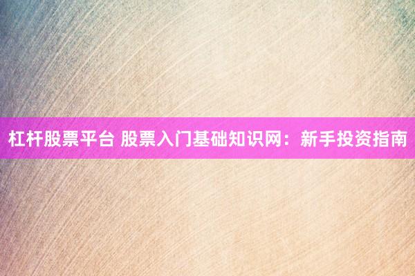 杠杆股票平台 股票入门基础知识网：新手投资指南