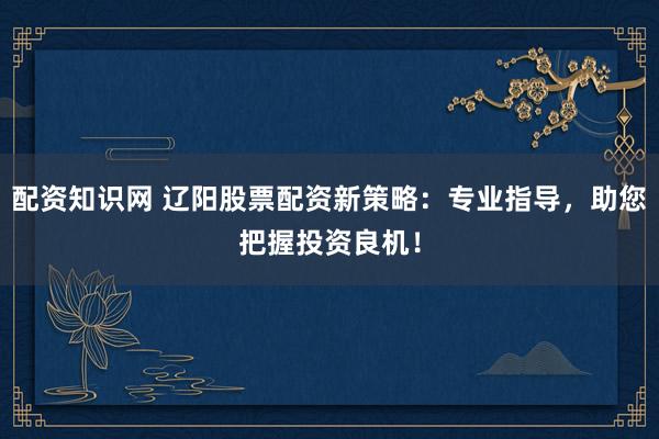 配资知识网 辽阳股票配资新策略：专业指导，助您把握投资良机！