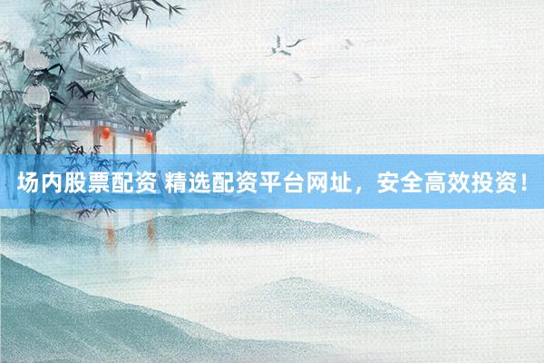 场内股票配资 精选配资平台网址，安全高效投资！
