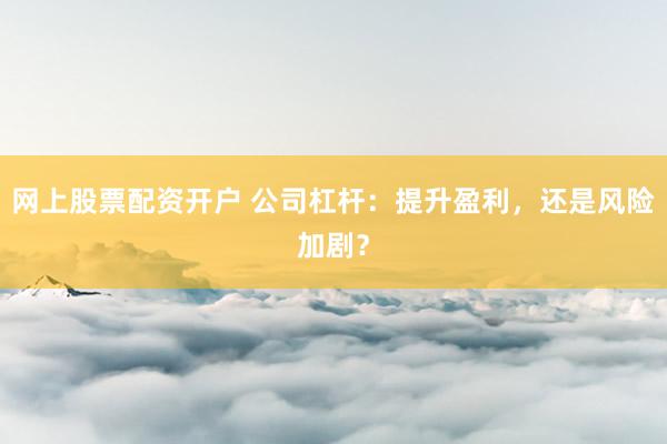 网上股票配资开户 公司杠杆：提升盈利，还是风险加剧？