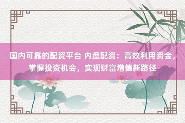 国内可靠的配资平台 内盘配资:高效利用资金,掌握投资机会,实现财富增值新路径
