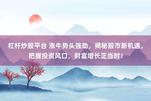 杠杆炒股平台 涨牛势头强劲,揭秘股市新机遇,把握投资风口,财富增长正当时!