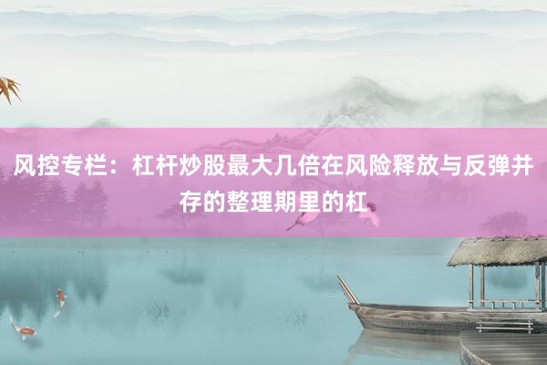 风控专栏：杠杆炒股最大几倍在风险释放与反弹并存的整理期里的杠
