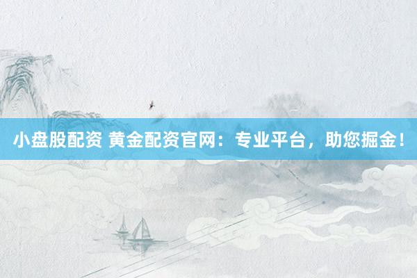 小盘股配资 黄金配资官网：专业平台，助您掘金！